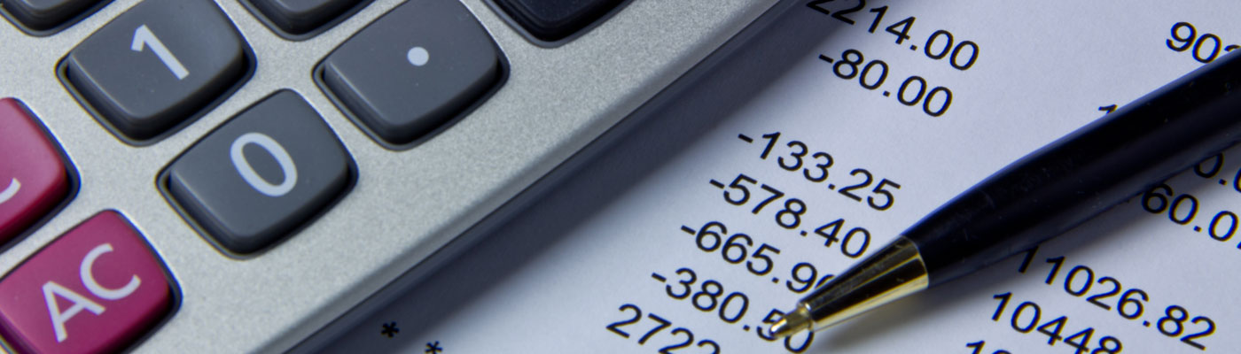 1st Audit for ONLY $290